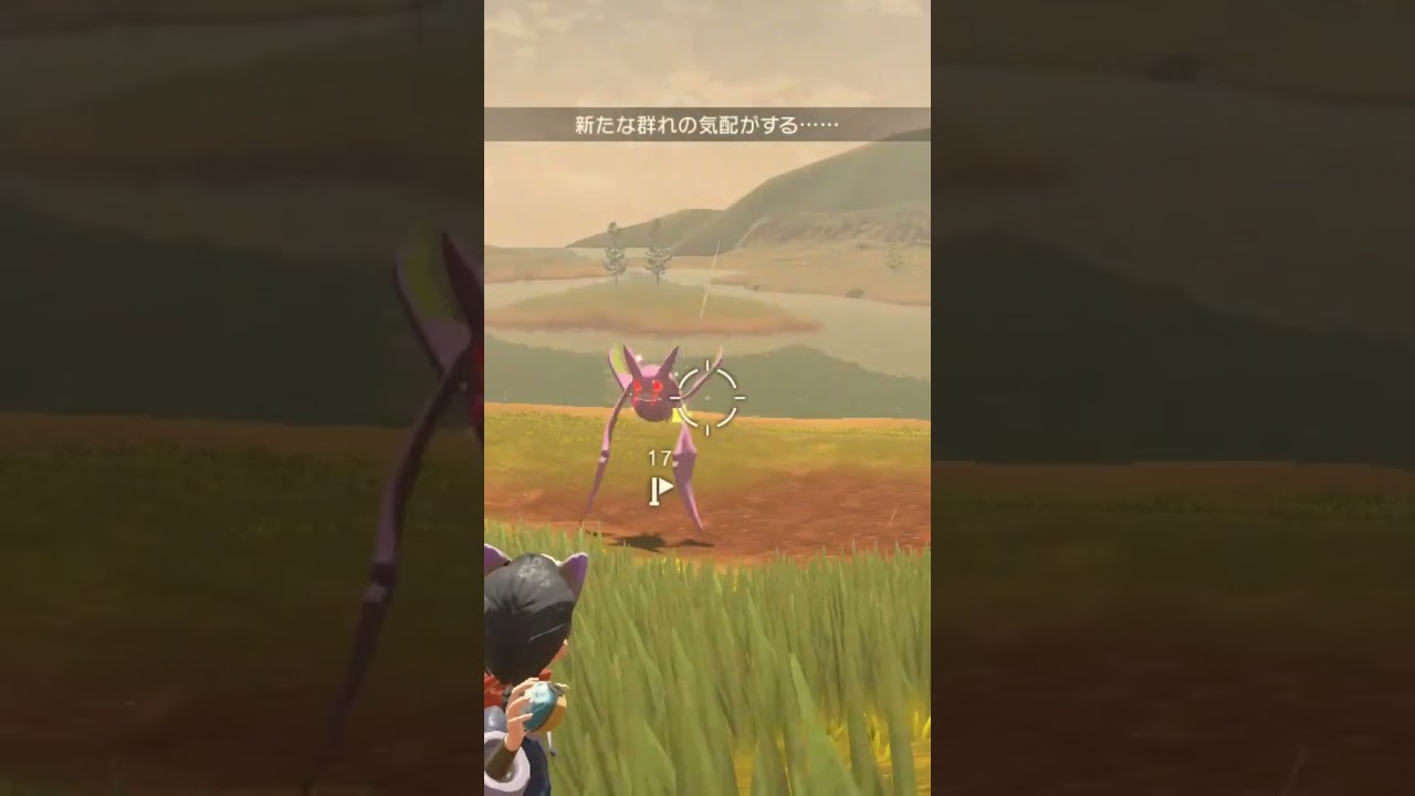 可愛いカラーしてるね！色違い親分クロバット【ポケモンレジェンズアルセウス】#shorts  #色違い厳選