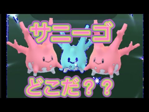 ポケモンGO　サニーゴ色違い
