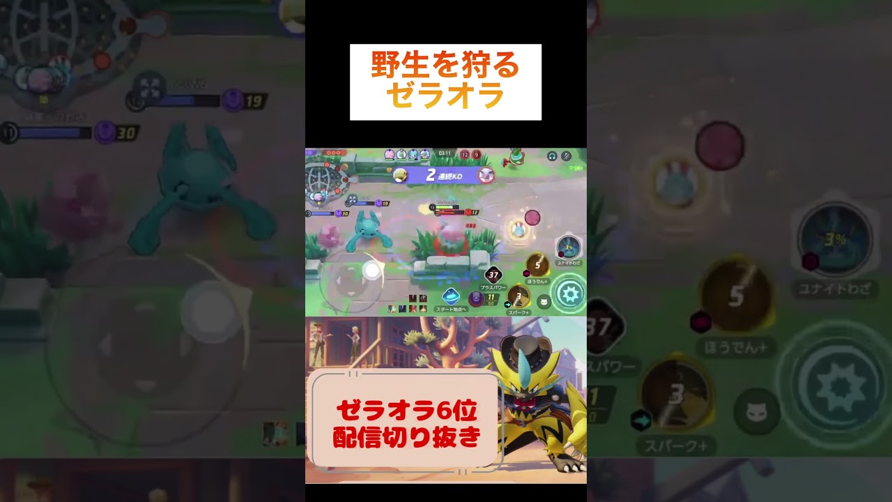 野生を狩るゼラオラ #pokemonunite #pokemon #ゼラオラ #ユナイト #game #ポケモンユナイト #ランクマ #毎日配信 #参加型