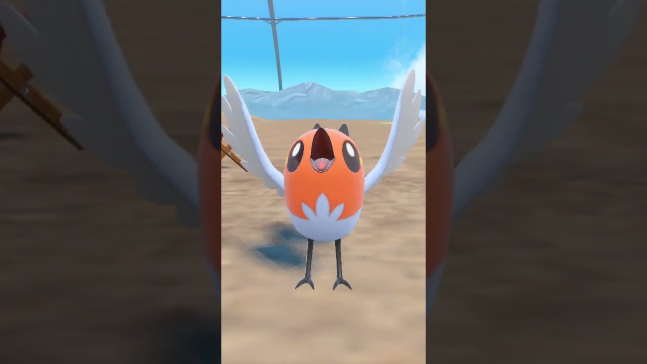 ヤヤコマ Fletchling【ポケモンsv】