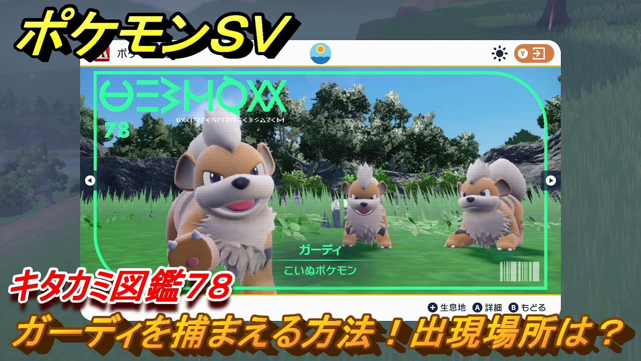 ポケモンＳＶ　ガーディの出現場所は？　キタカミ図鑑７８　ポケモン図鑑を完成させよう！　＃１０３　【DLCゼロの秘宝　碧の仮面・藍の円盤】
