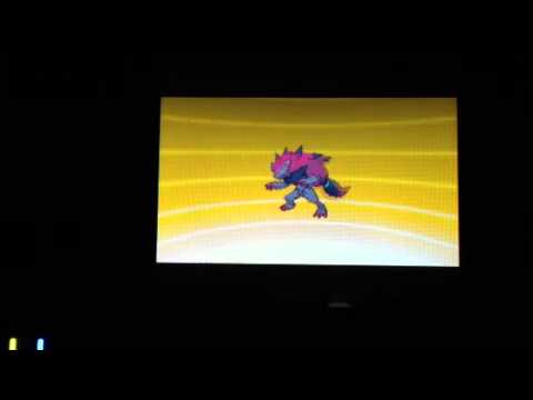 ポケモンBW ゾロア進化