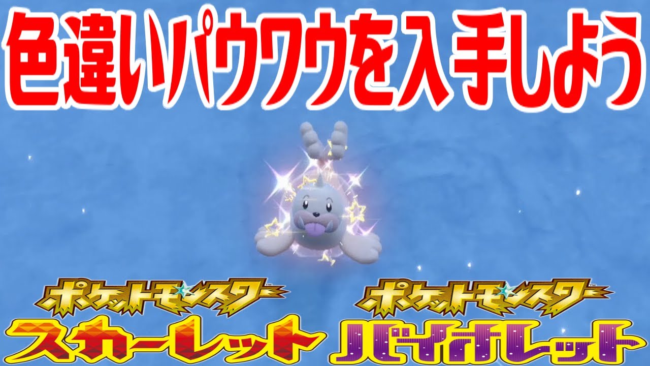 【ポケモンSV】色違いパウワウを入手しよう【ポケットモンスター スカーレット・バイオレット ゼロの秘宝 藍の円盤】Pocket Monsters