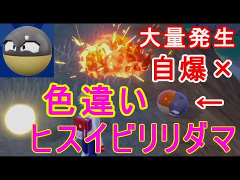 ヒスイビリリダマ色違い低レベル場所大量発生厳選方法ポケモンsv実況