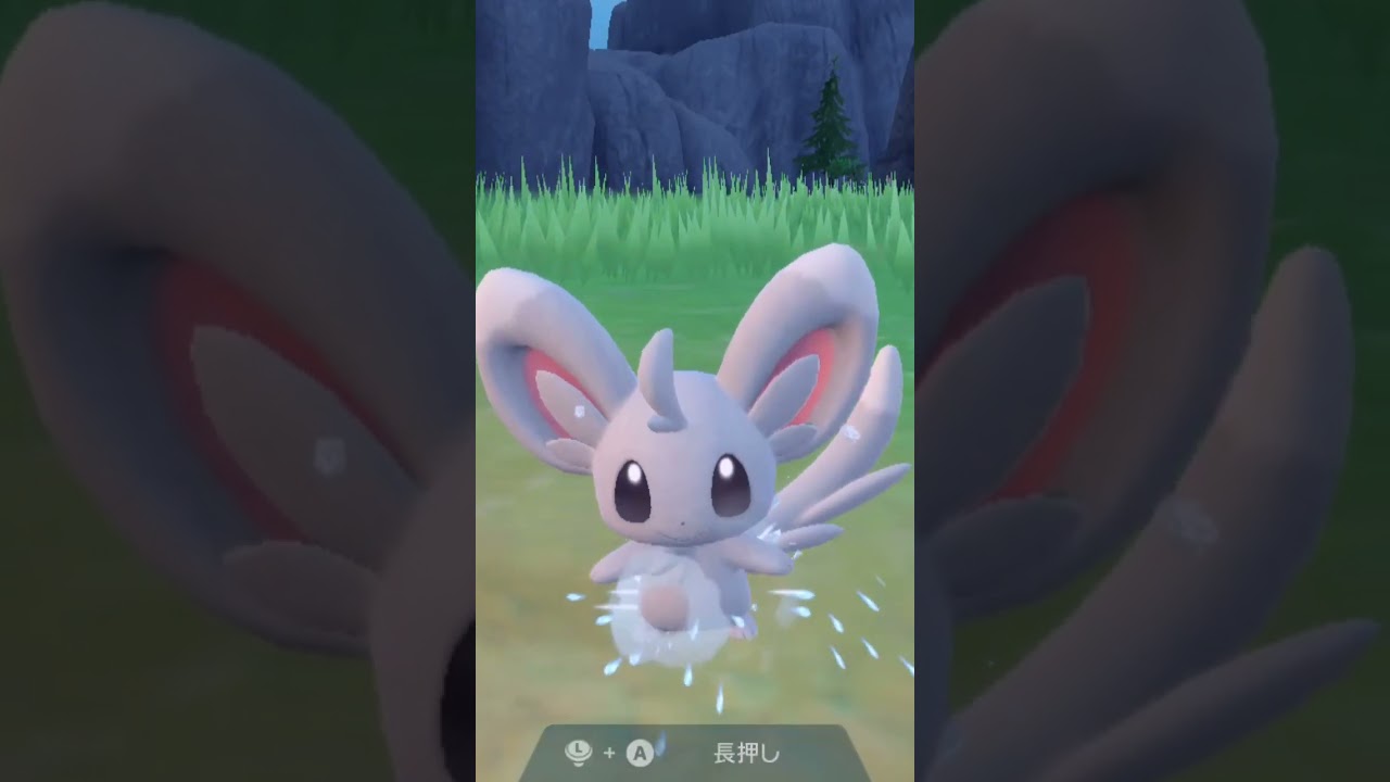 チラーミィ Minccino【ポケモンsv】
