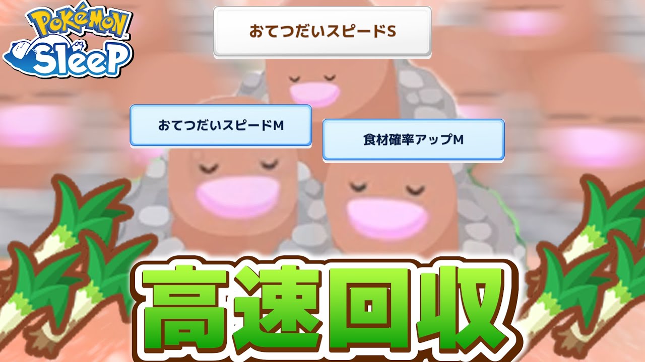 【29分台】べらぼうに早いダグトリオでネギを高速回収！メタモンとの比較も…【ポケモンスリープ】