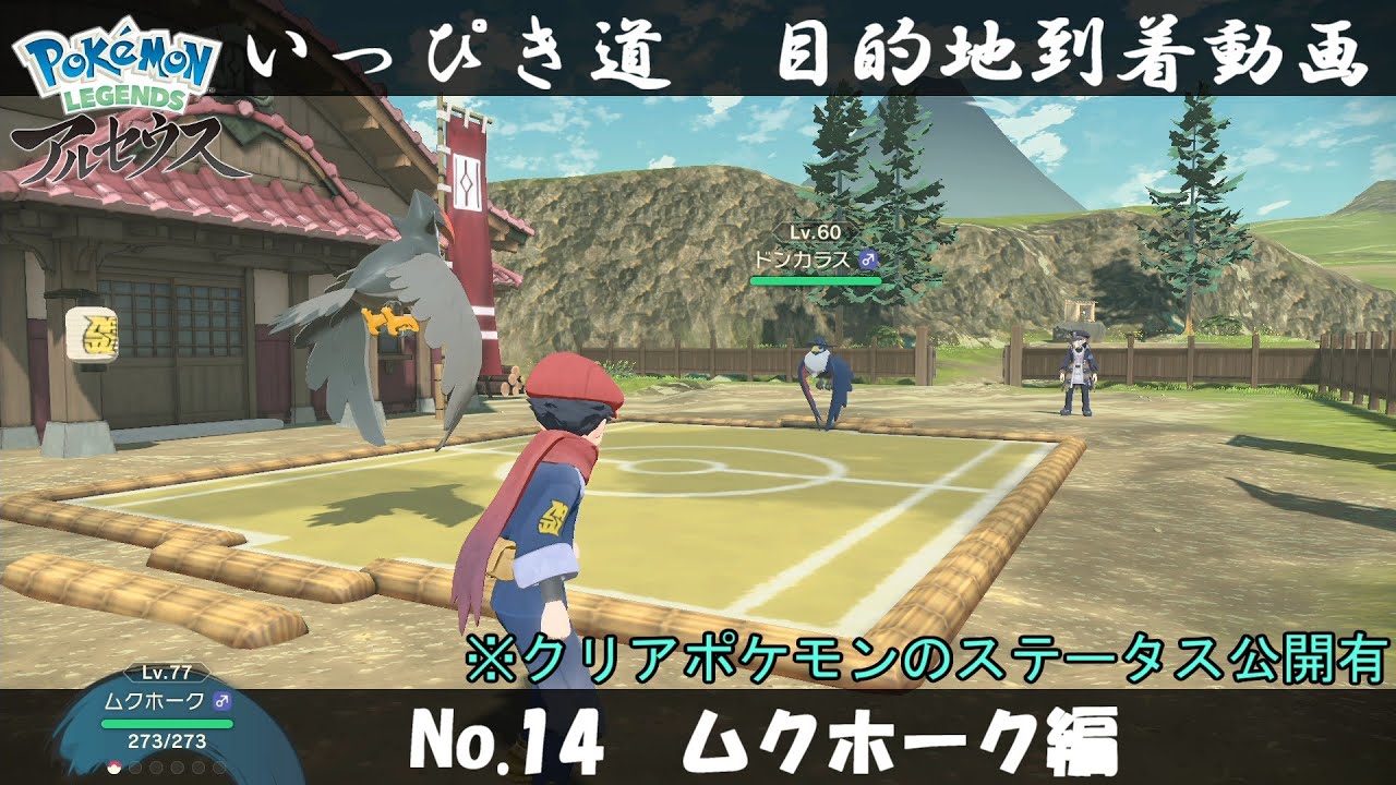 【いっぴき道攻略】No.14 ムクホーク編【Pokémon LEGENDS アルセウス】