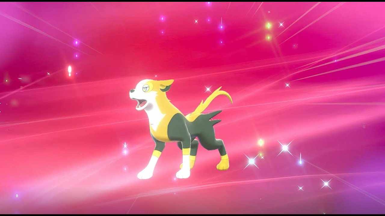 【ポケモン盾】ワンパチが進化したよ！