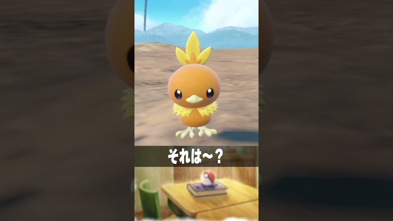 世界一かわいいアチャモの雌雄差　#shorts #short #ポケモン #ポケモン図鑑