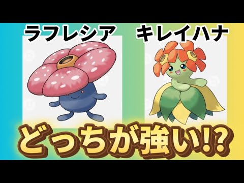 【考察】「ラフレシア」と「キレイハナ」どっちが強い!?