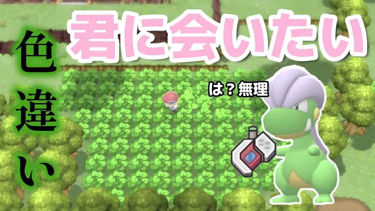 【ポケモンBDSP】タツベイの色違い厳選が辛すぎた