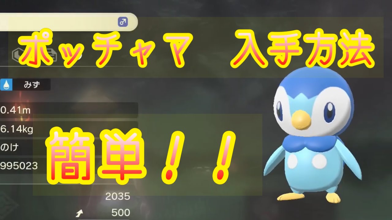 【Pokémon LEGENDS アルセウス】ポッチャマ入手方法　攻略動画