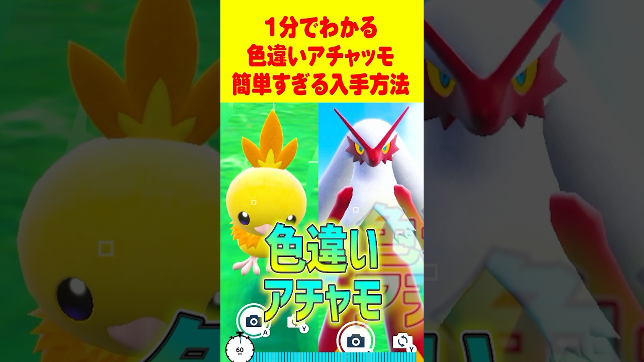 【ポケモンSV】1分で分かる色違いアチャモ バシャーモ最速GET 方法 #ポケモンsv #色違い厳選