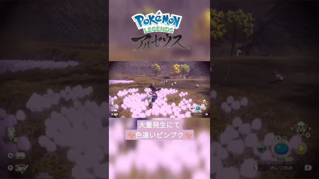 【色違い】Pokémon LEGENDS アルセウス『ピンプク』大量発生にて色違い✨ #shorts