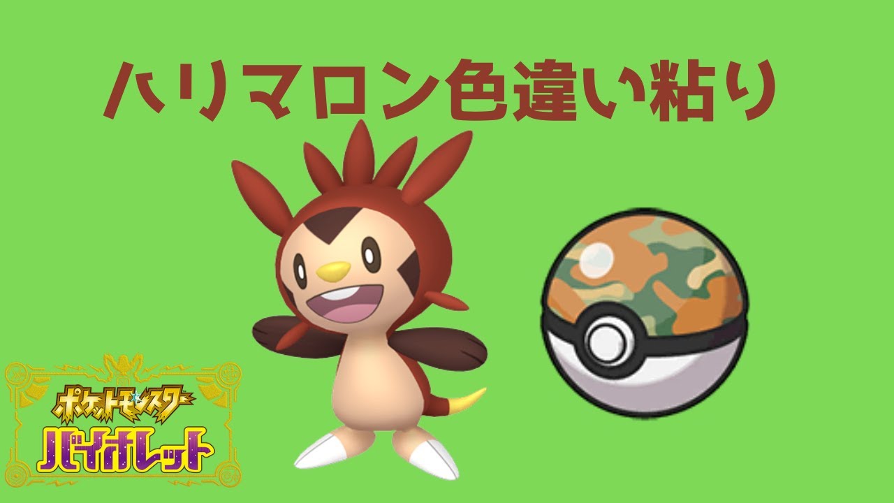 【ポケモンSV】色違いの野生のハリマロンをサファリボールで仲間にする【色違い粘り】