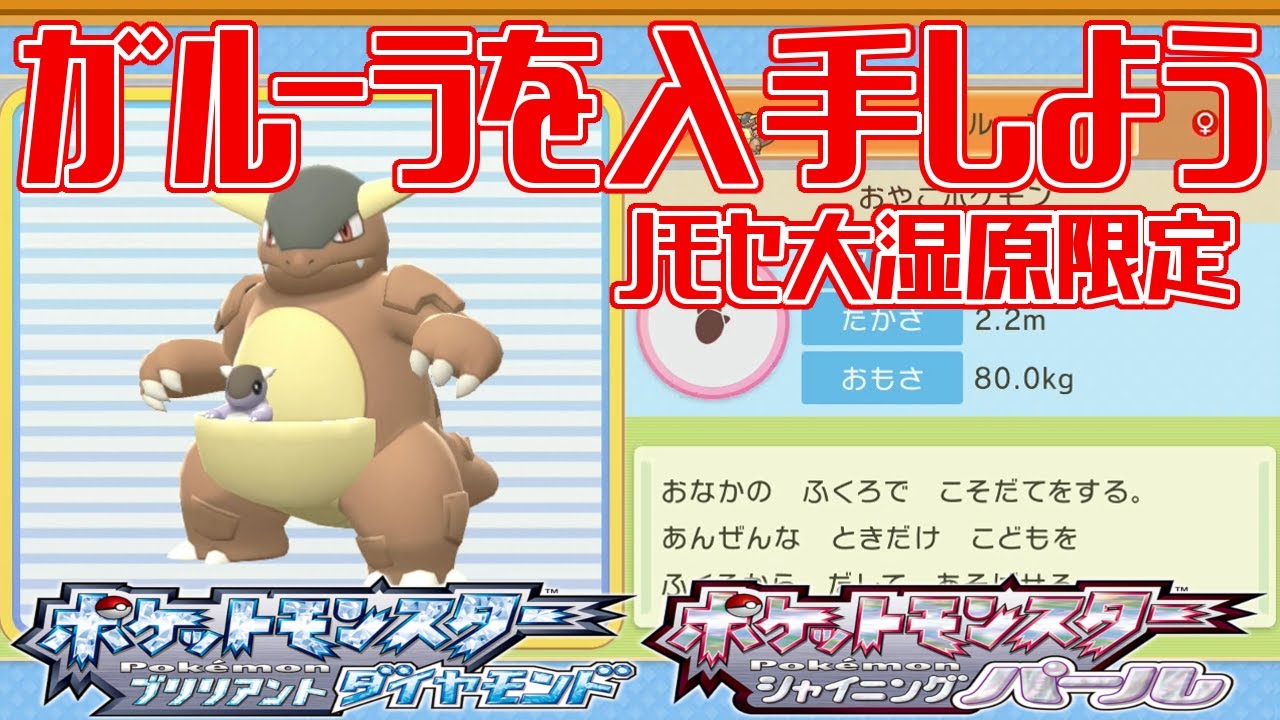 【ポケモンダイパリメイク】ガルーラを入手しよう ノモセ大湿原限定【ポケットモンスター ブリリアントダイヤモンド・シャイニングパール】Pocket Monsters