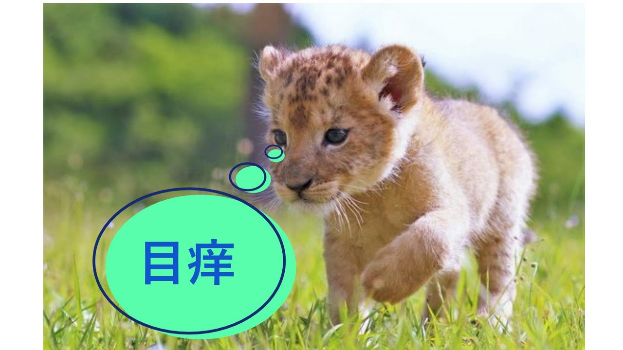 【天鳳 実況1146】おじさん×メガフーディン×ほっちゃん×プルーーン