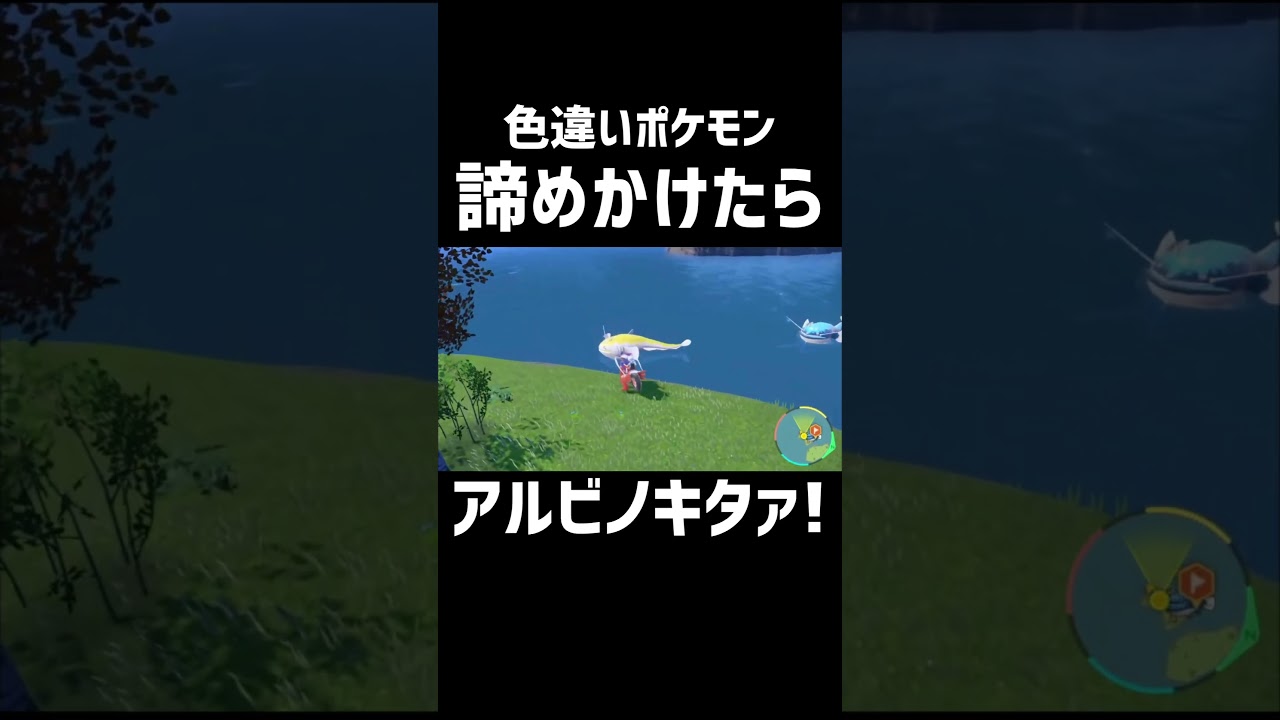 湖で色違いポケモン密漁してみたら！【ポケモンSV】