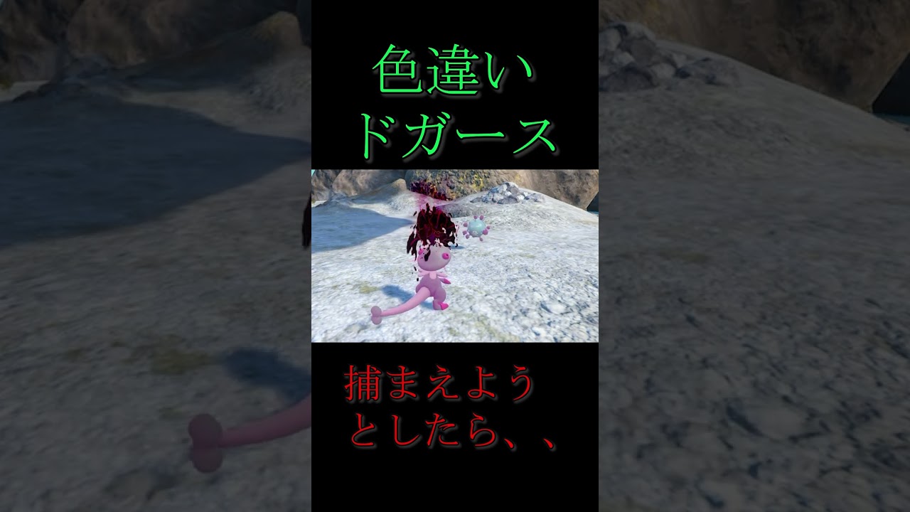 色違いドガース捕まえようとしたら、、【ポケモンSV】