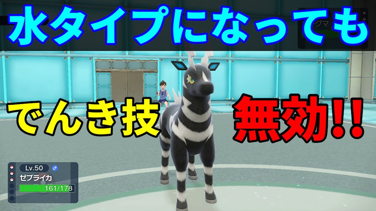 テラスタルで特性が強くなるポケモン「ゼブライカ」を活躍させたい！【ポケモンSV】