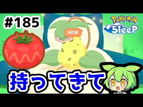 【睡眠リサーチ】＃185『GSD最終日　ウツボットさんトマトお願いします』【ポケモンスリープ/pokemon sleep】【無課金ゆっくり実況ずんだもん】