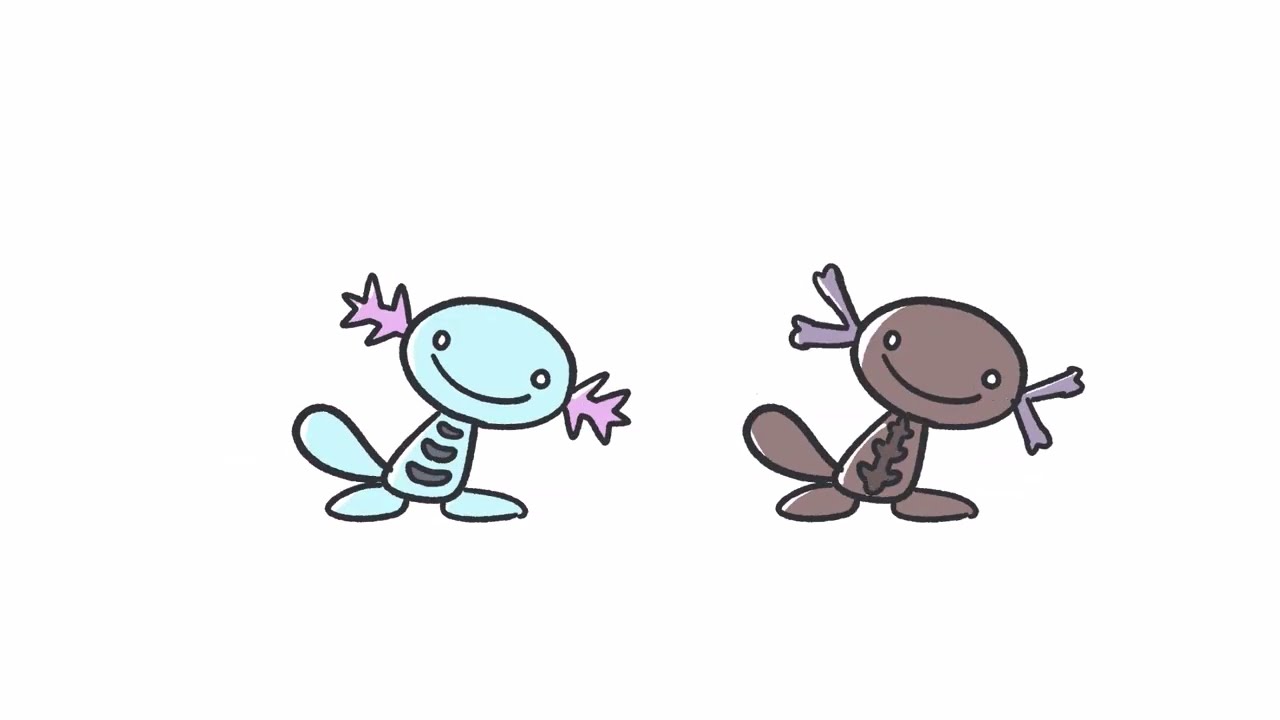 呼び込み君ウパー/Dancing Wooper