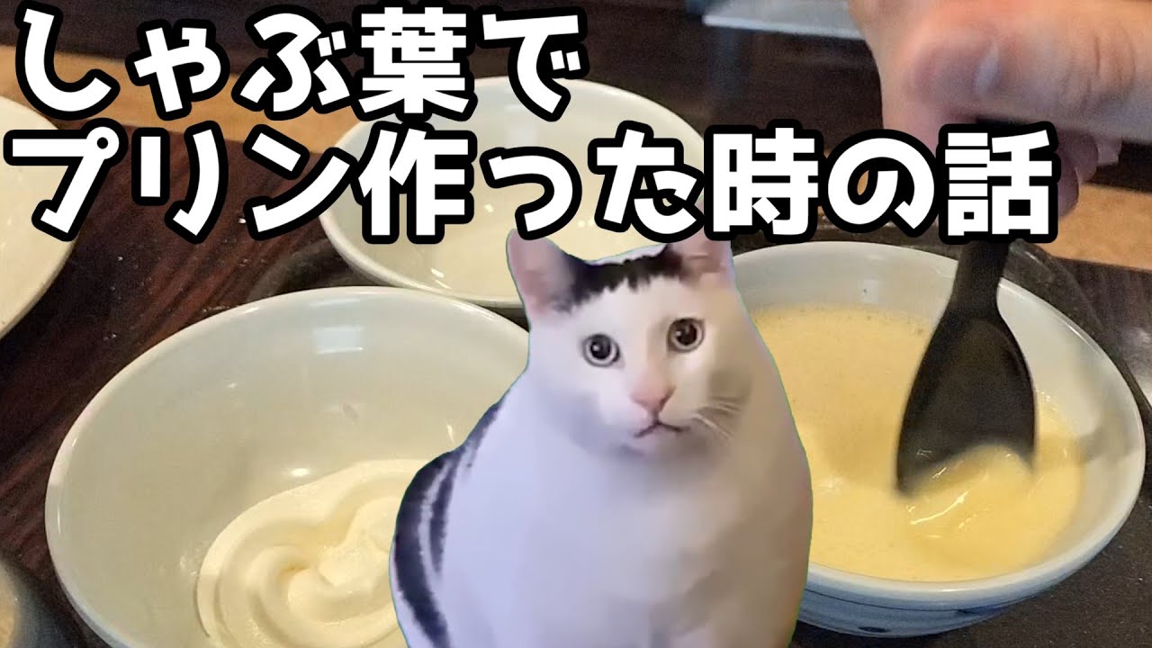 【猫ミーム】しゃぶ葉でプリン作った時の話 #しゃぶ葉  #猫ミーム #catmeme #猫マニ #猫ニチ #memes #catmemes #プリン #スイーツ #デザート #しゃぶしゃぶ #猫 #肉