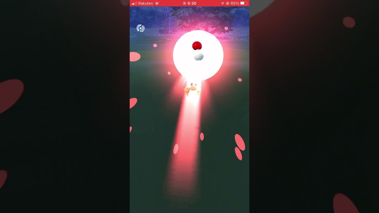 【ポケモンGO】今日の１匹目【2021/12/13】