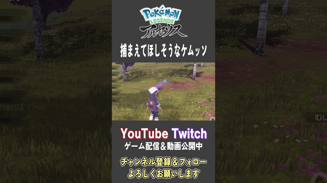 捕まえてほしそうなケムッソ【Pokemon LEGENDS アルセウス】【#Shorts】【#19】