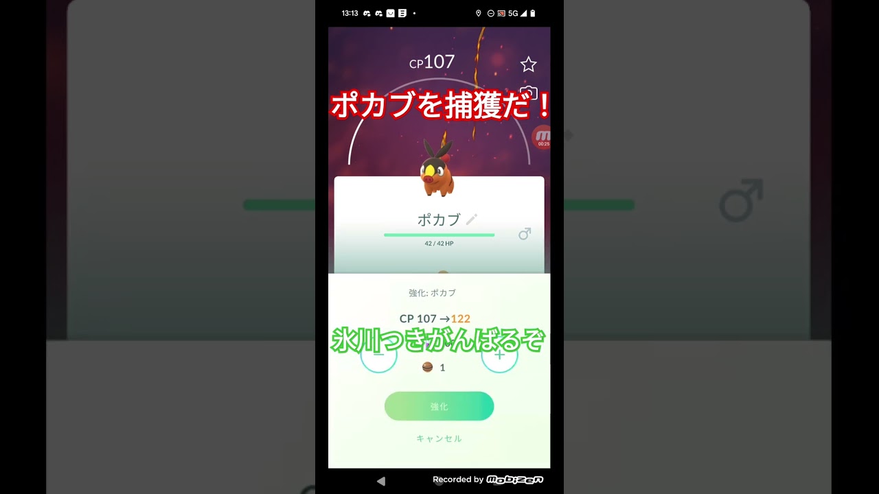 ポケモンGO実況かわいい御三家ポカブ発見！ポカブの捕獲に挑んでみた！果たして結果は〇〇な件だった！#ポケモンgo #ポケモン #shorts