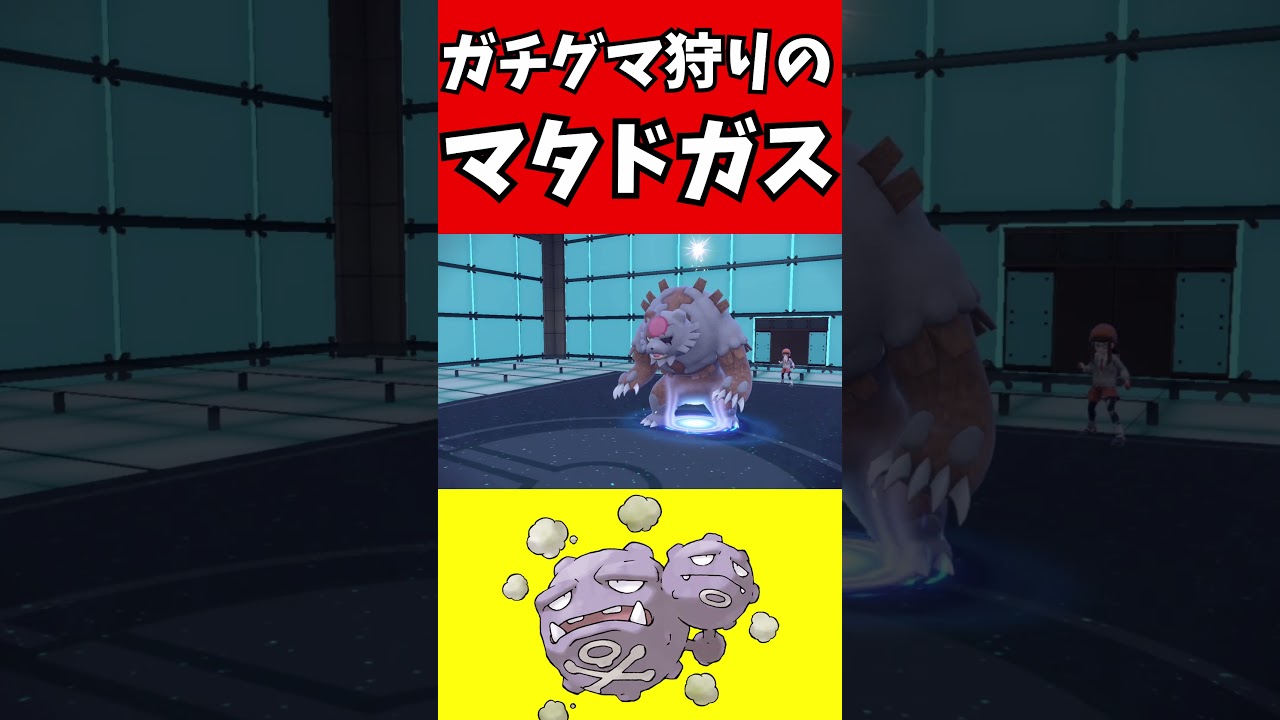 【マイナーポケモン解説】ガチグマ狩りのマタドガス