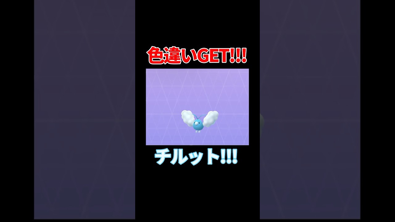 【ポケモンGO】色違いGET!!!チルット!!.#Pokémon #ポケモン #pokémongo  #ポケモンgo #色違い #チルット