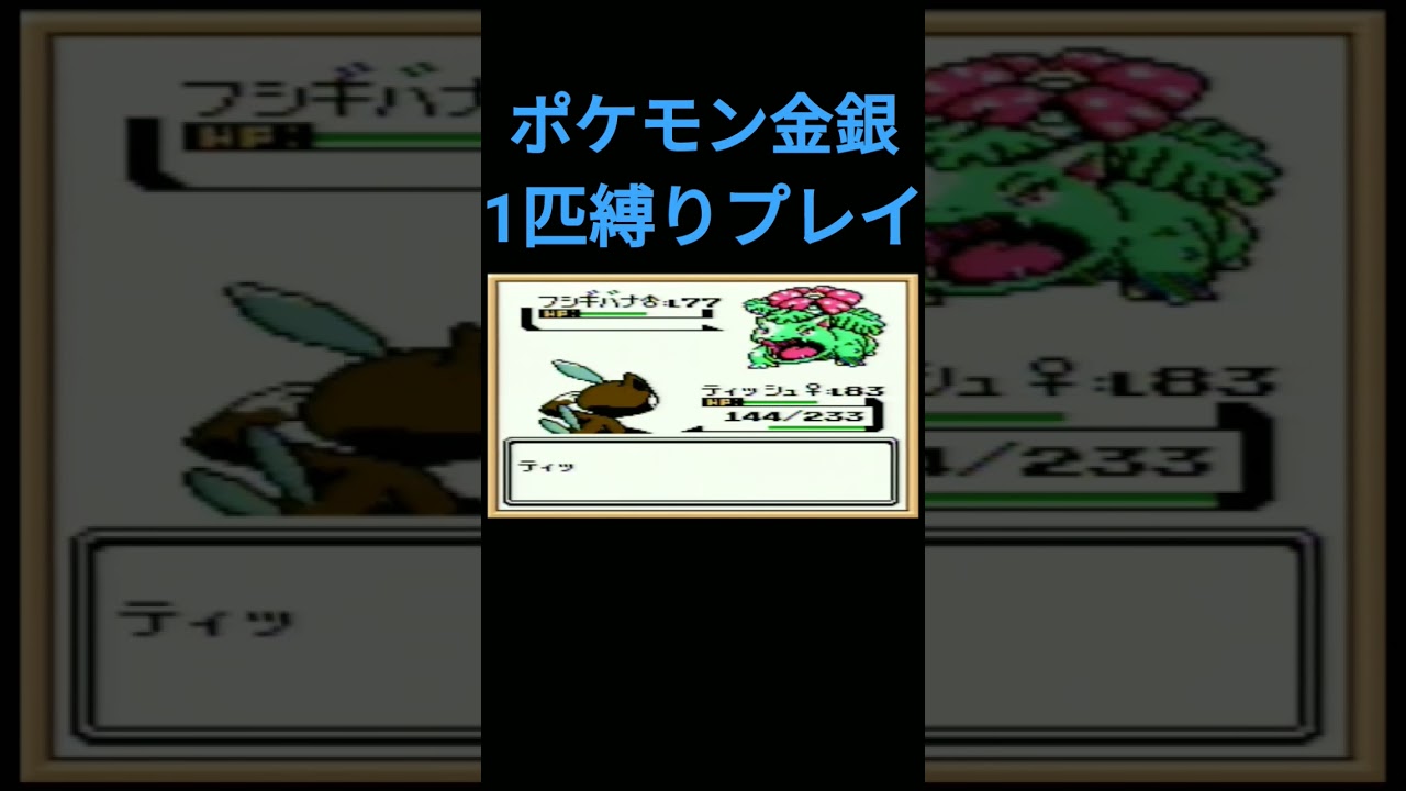 【ポケモン金銀】ポケモン金銀1匹縛りプレイ!!ニューラver【縛りプレイ】#ポケモン金銀 #縛りプレイ #ニューラ #ゲーム実況