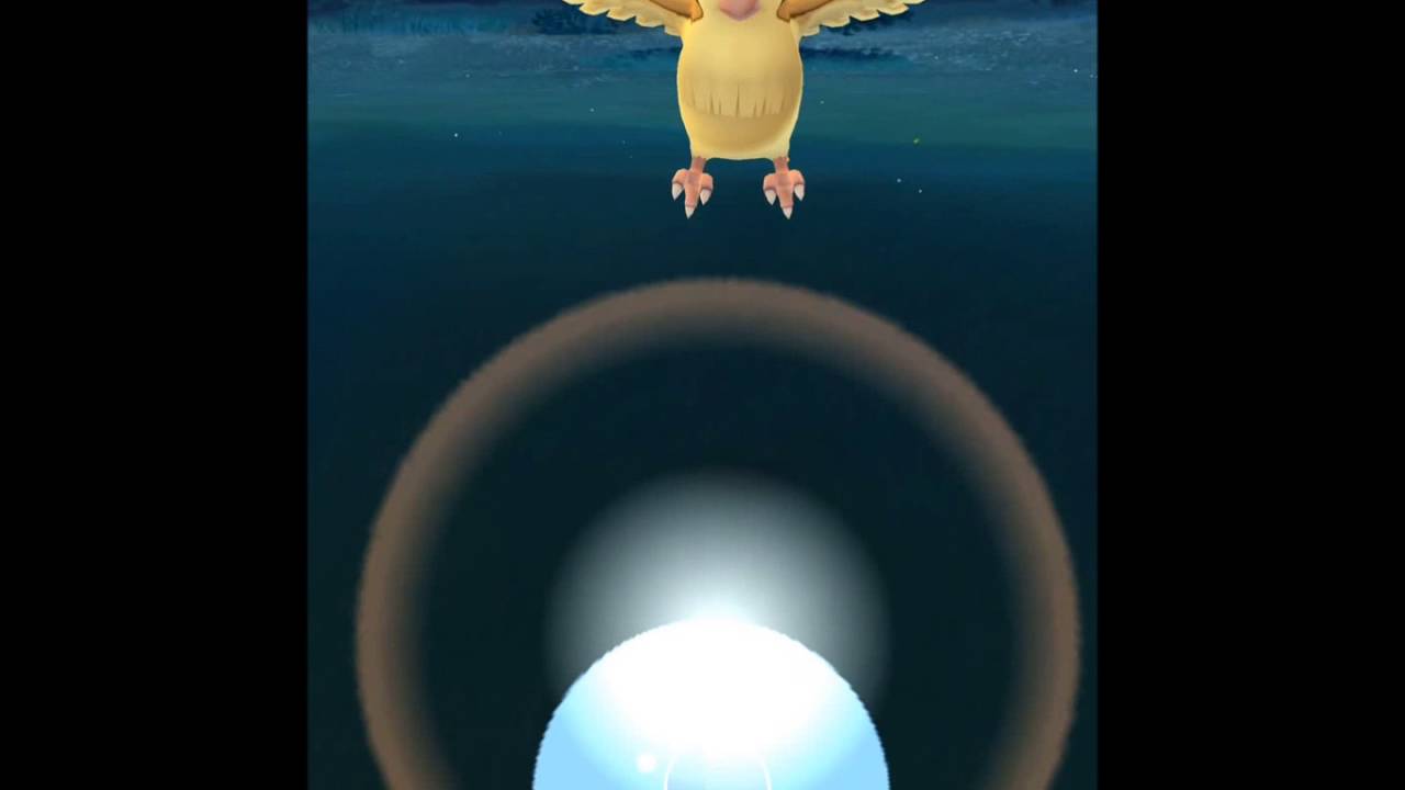 ポケモンGO　ポッポ逃走
