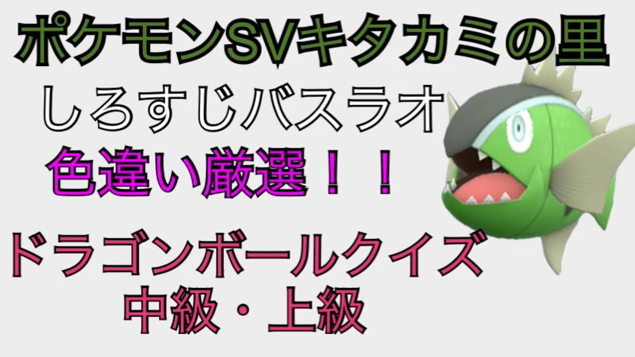 『ドラゴンボールクイズ』しろすじバスラオ色違い厳選！！ポケモンsvキタカミの里