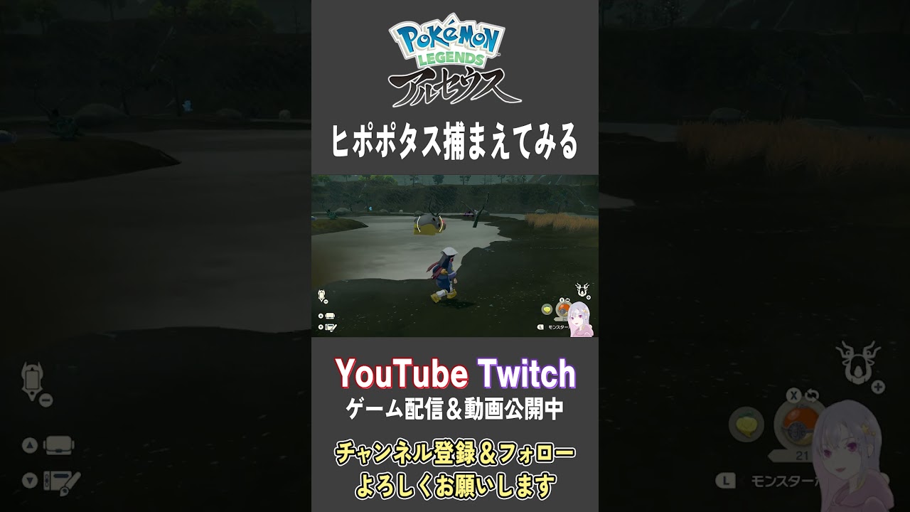 ヒポポタス捕まえてみる【Pokemon LEGENDS アルセウス】【#Shorts】【#65】