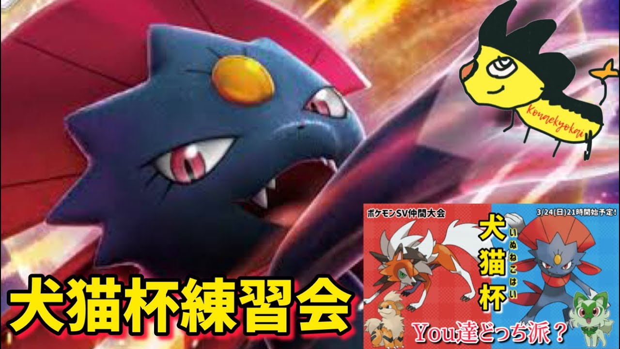 #犬猫杯 練習対戦会！