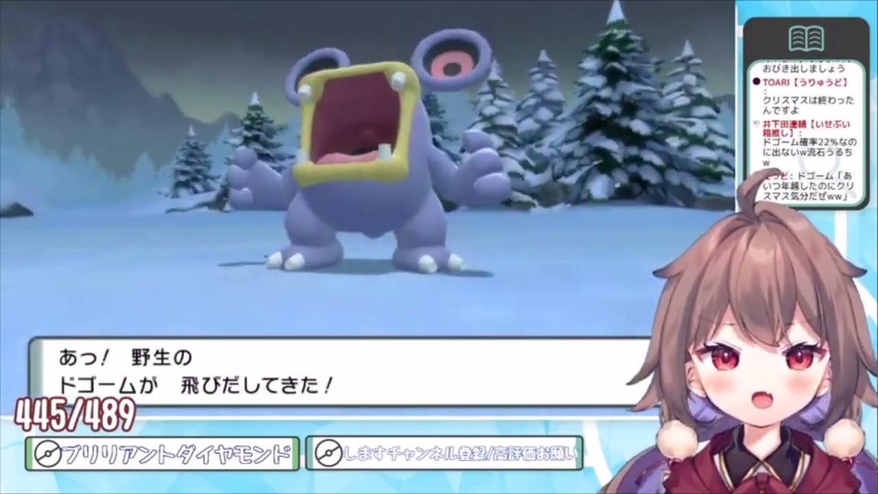 お正月ドゴーム