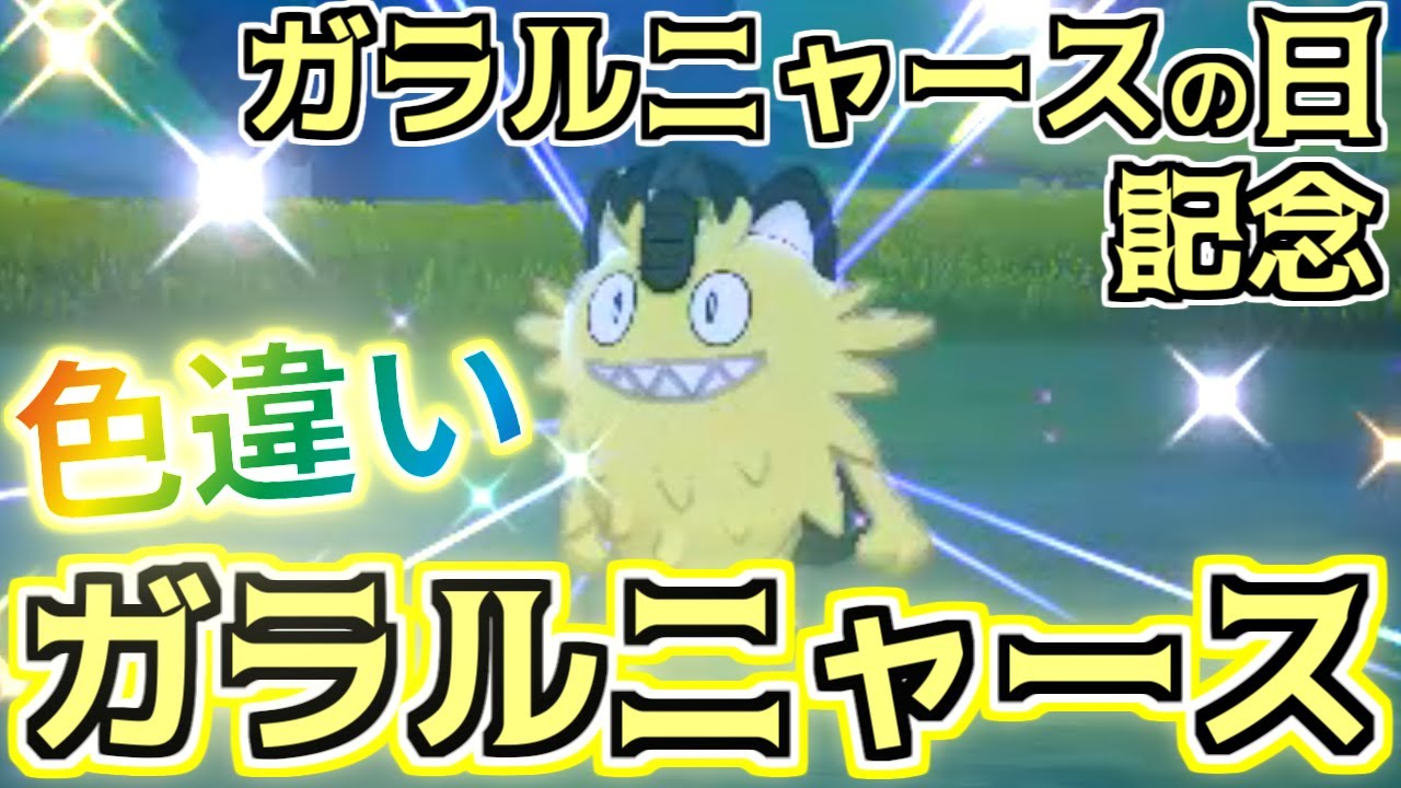 【ゆっくり実況】がらるにゃーすのひらしいので色違いガラルニャースを捕獲してみた【ポケモン剣盾】