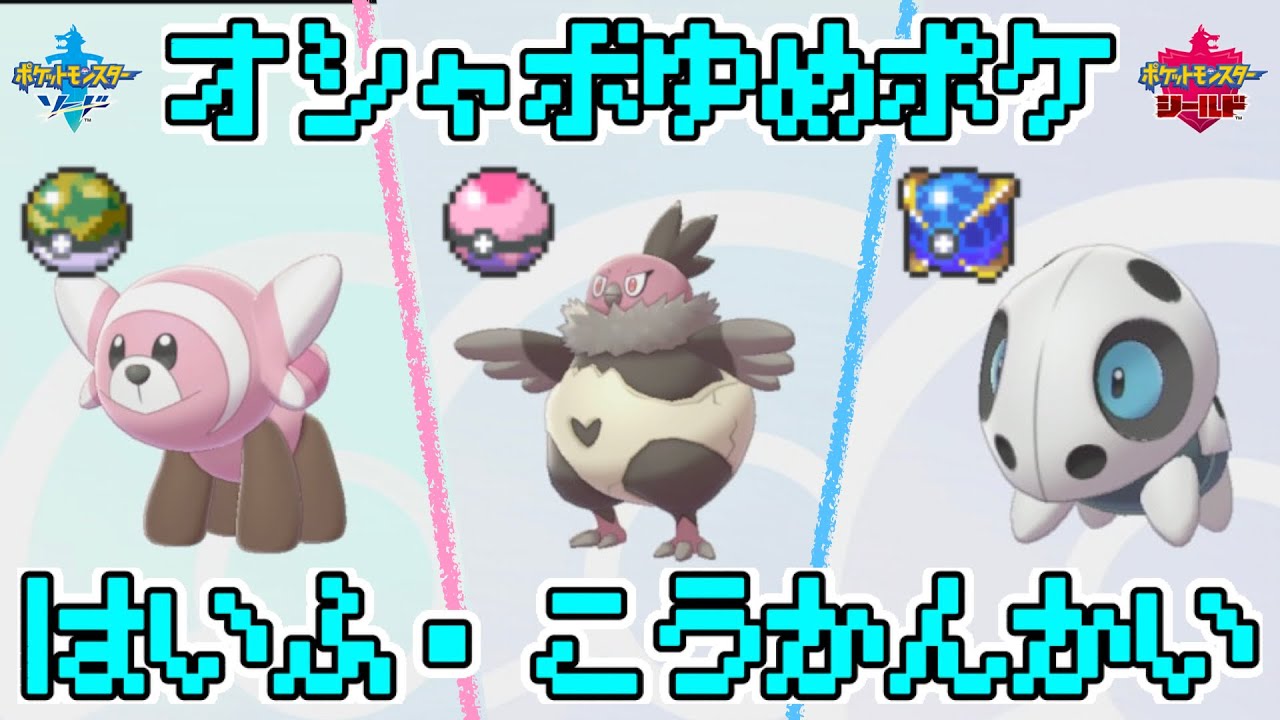 [だれでも参加OK！] オシャボ+夢特性のヌイコグマ、バルチャイ、ココドラの配布・交換会！[ポケモン剣盾]