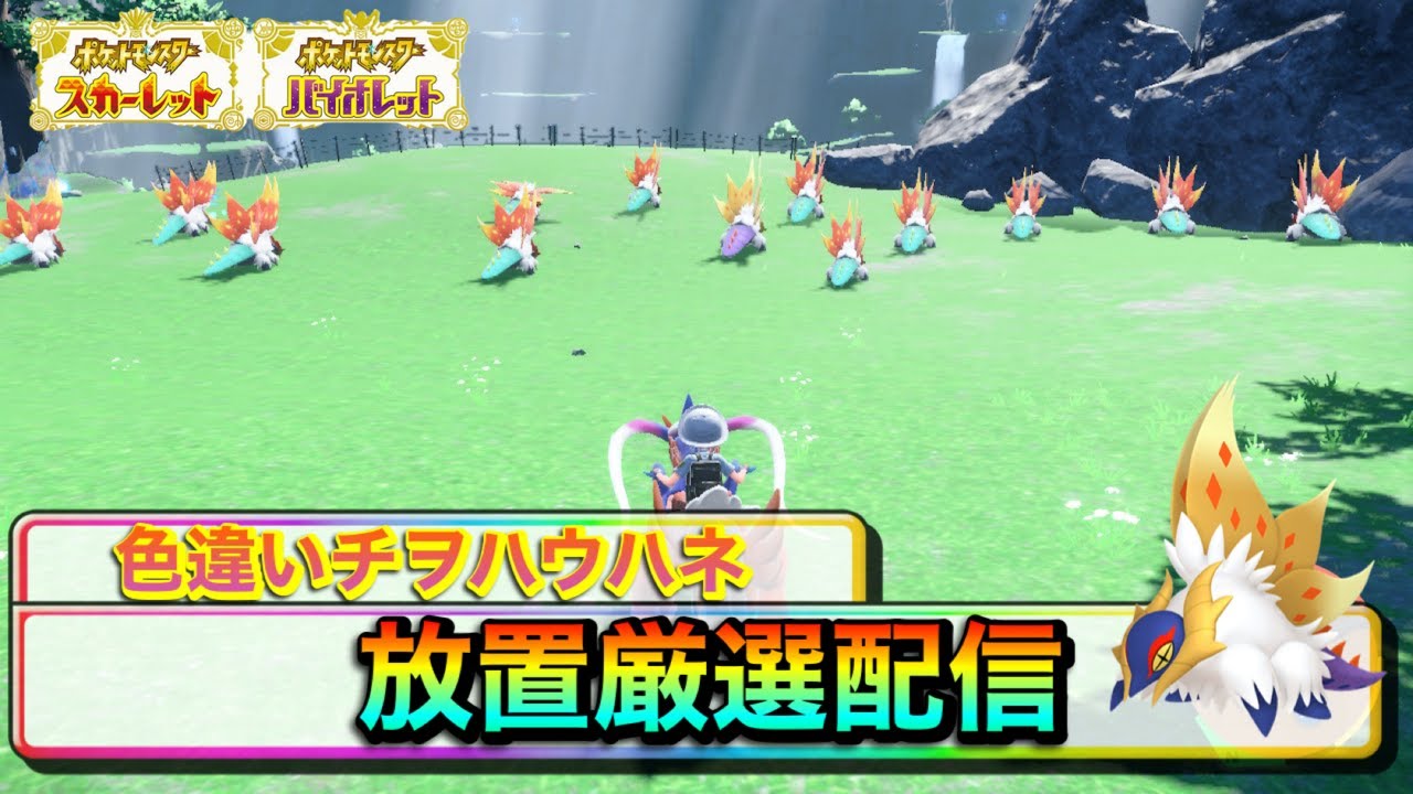 【ポケモンSV】色違いチヲハウハネ放置厳選配信
