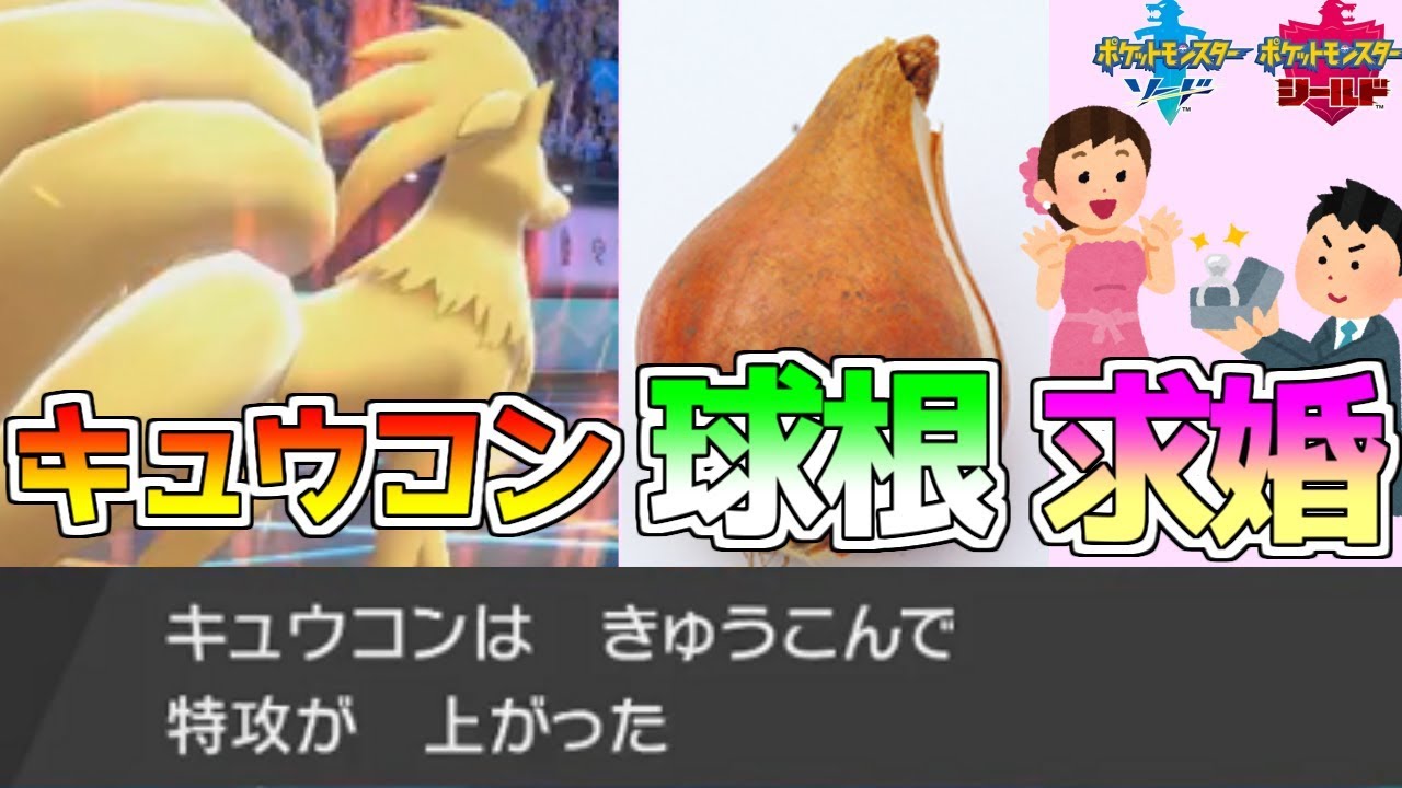 きゅうこん型キュウコンって知ってる？？【ポケモン剣盾】【ポケモンシードシールド】【ネストボール級】