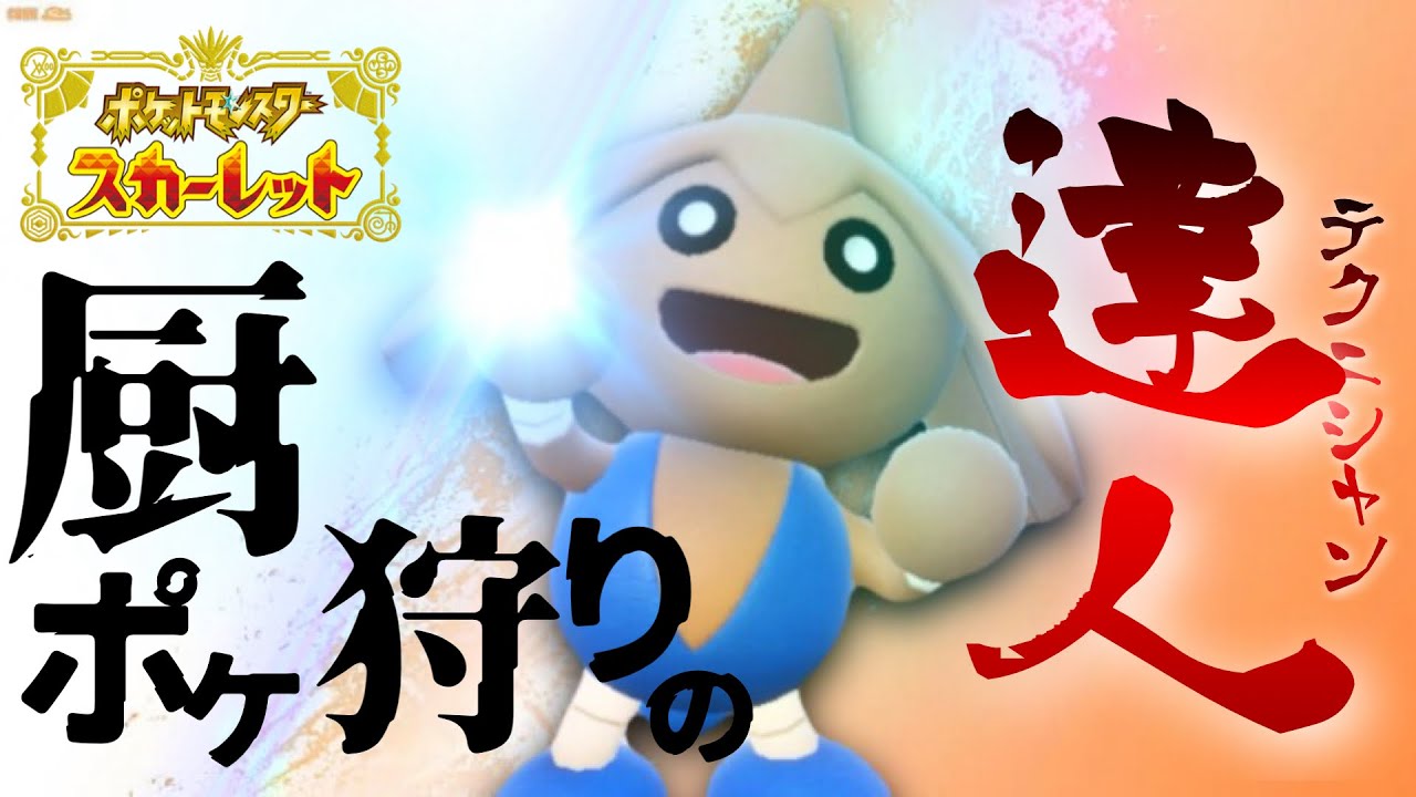 【新エース】環境ぶっささり！テクニシャン「カポエラー」が強すぎて特殊アタッカー涙目ｗｗｗ【ポケモンSV】