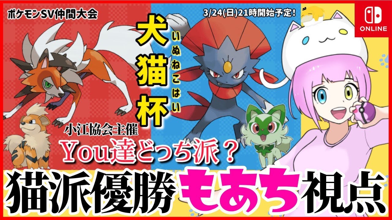 【 #犬猫杯 】猫派優勝🐱もあち視点【仲間大会】#ポケモンSV
