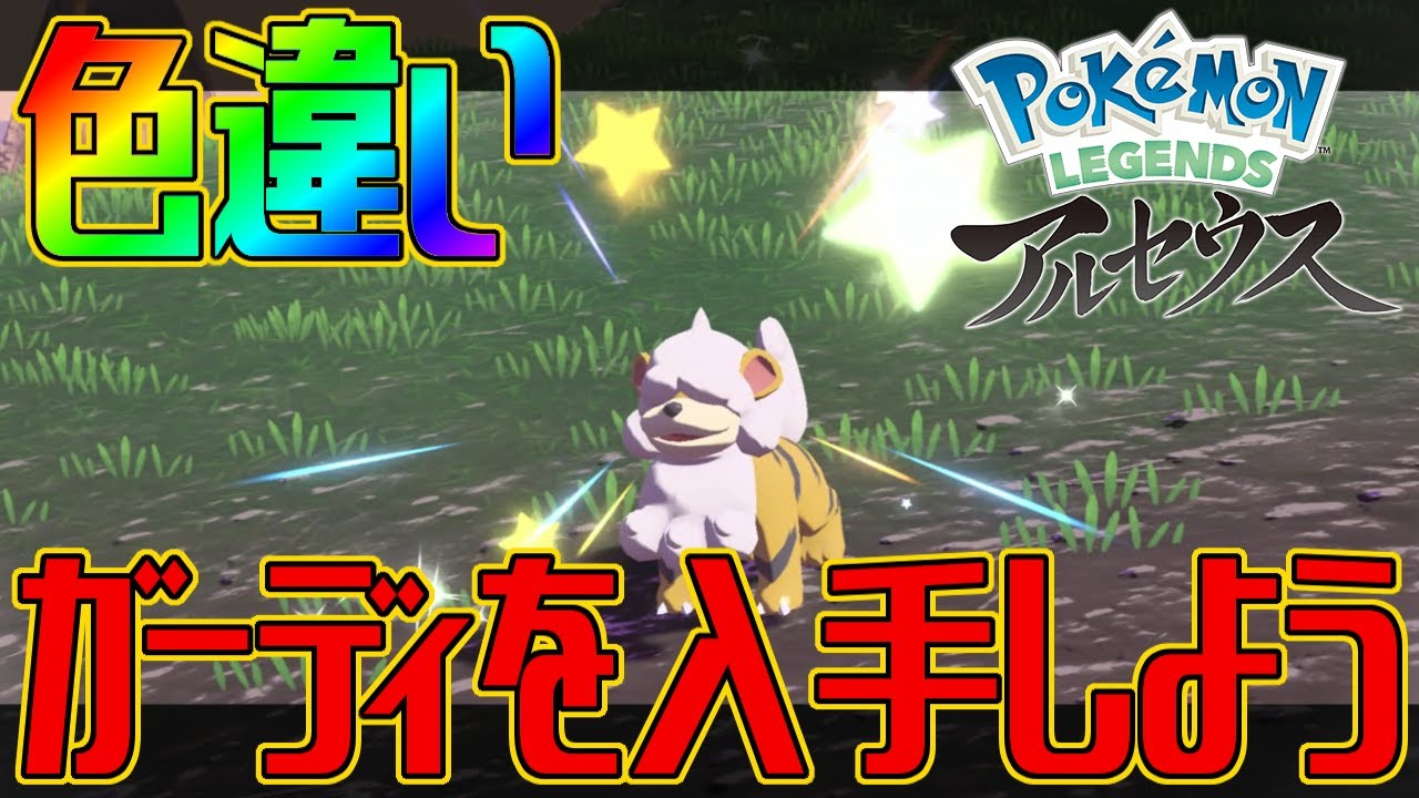 【ポケモンアルセウス】色違いガーディを入手しよう【Pokémon LEGENDS アルセウス】