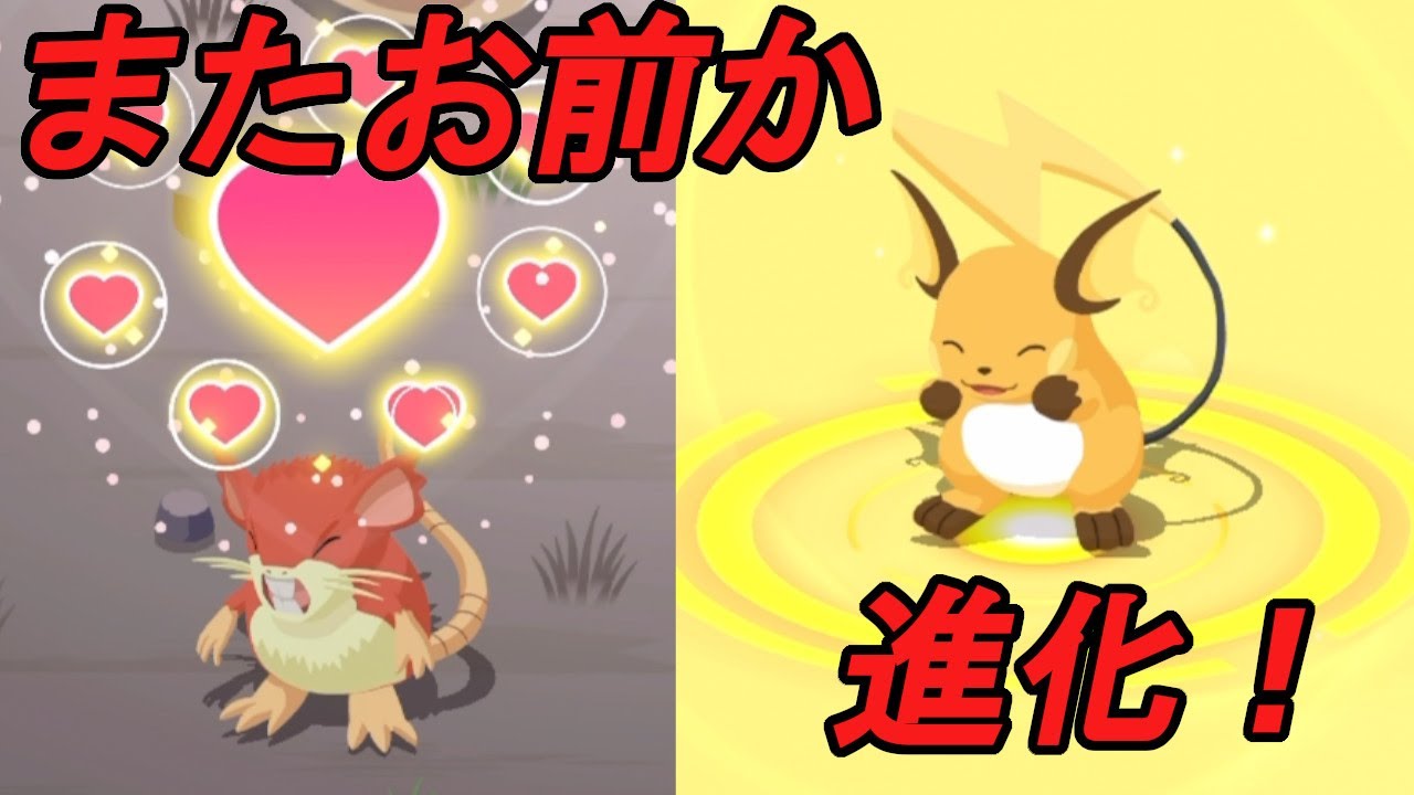 ライコウイベントに向けてついに進化でゴリモリ強化！！【ポケモンスリープ】
