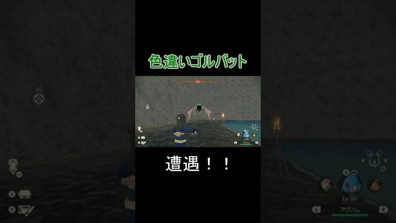 【ポケモンレジェンズアルセウス】色違い　ゴルバット　野生　#shorts