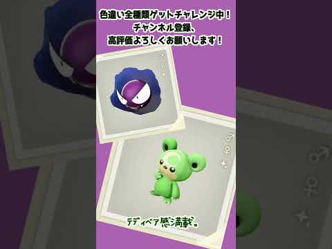 【71/224】ヒメグマは、イロチでも、かわいい。【Pokémon LEGENDS アルセウス】　#Shorts