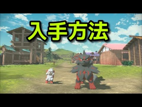 【ポケモン アルセウス】ガーディ ウィンディ 入手方法 進化方法 出現場所 捕まえ方【Pokémon LEGENDS アルセウス】