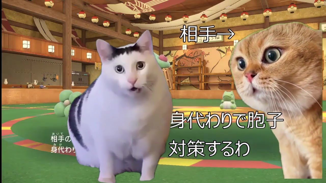 【猫ミーム】キノガッサの恐ろしさ #猫ミーム #猫マニ【ポケモンSV】
